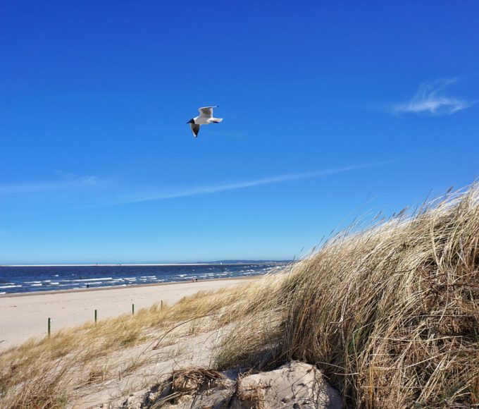 Reisen an die polnische Ostsee